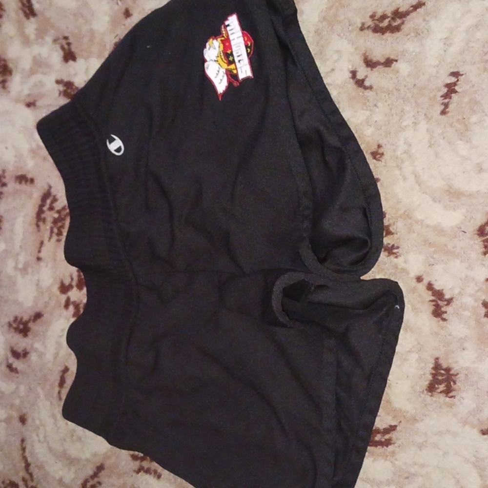 Champion Shorts